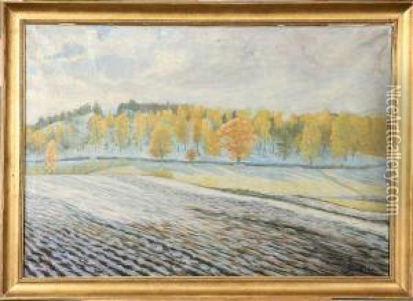 Landskap Med Trad I Hostfarger Oil Painting - John Sten