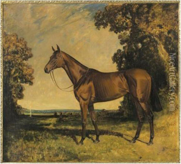 Cheval Dans La Campagne Anglaise Oil Painting - James Lynwood Palmer