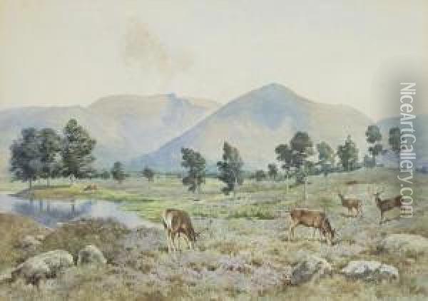 Red Stags On The Moor Oil Painting - Andrew Scott Rankin