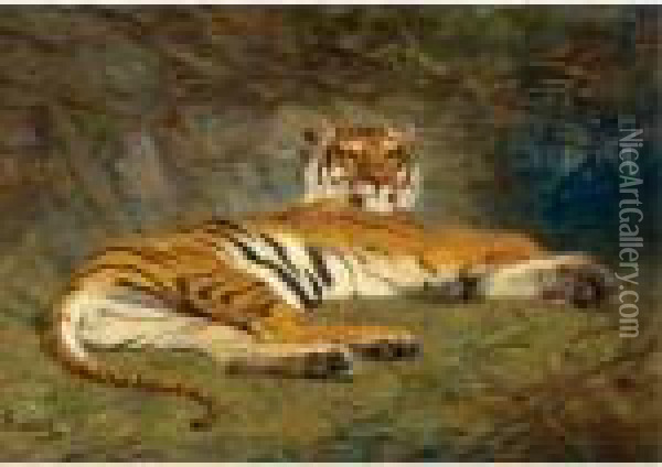 The Recumbent Tiger Oil Painting - Gustave Surand