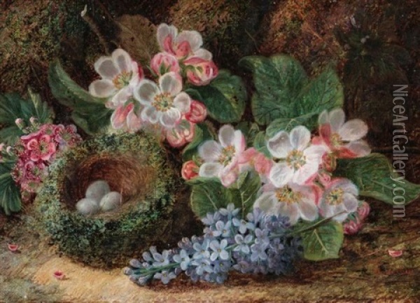 Bird's Nest Among Spring Flowers Oil Painting - Oliver Clare
