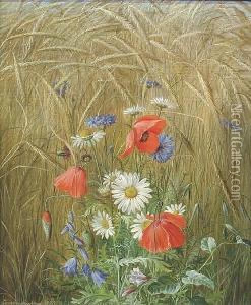 Poppies, Bluebells And Convolvulus In A Cornfield Oil Painting - Emma Mulvad