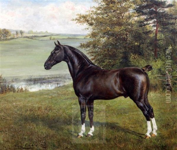 A Black Hunter In A Landscape 'mckinley 6475' Oil Painting - Allen Culpepper Sealy