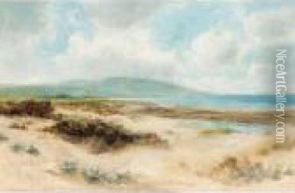 Sand Dunes Oil Painting - Daniel Sherrin