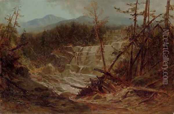 Stream in the Adirondacks Oil Painting - James David Smillie