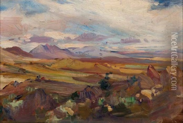 Mountains Near Worcester Oil Painting - Pieter Hugo Naude