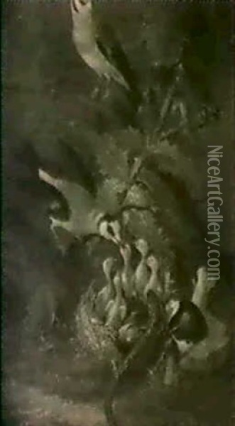Ein Vogelnest Und Eine Eidechse Mit Pilzen Und Einer Distel Oil Painting - Philipp Ferdinand de Hamilton