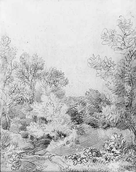 Study of a track through a wooded landscape Oil Painting - Thomas Gainsborough