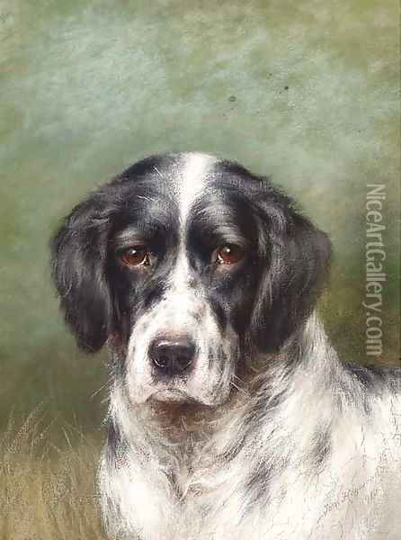 The head of a English setter Oil Painting - Tom Heywood