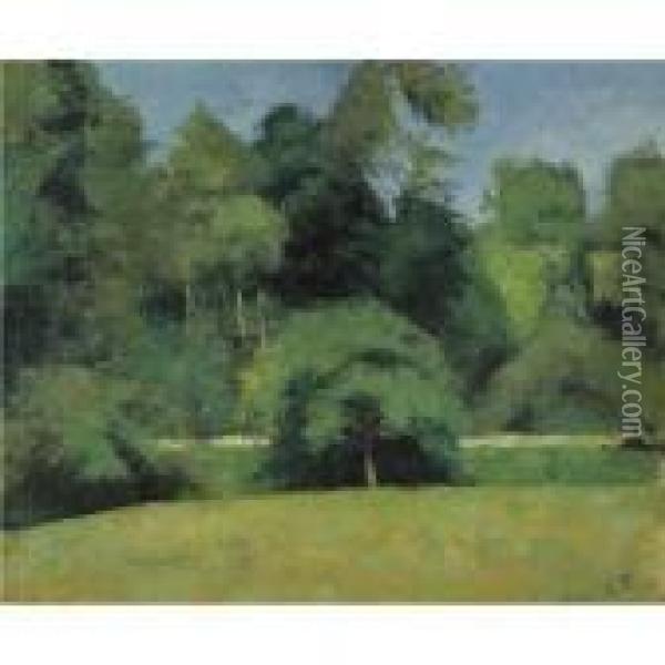 Le Fond De Saint-antoine A Pontoise Oil Painting - Camille Pissarro