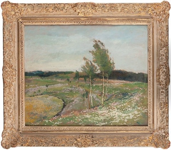 Birch Trees On A Blooming Meadow Oil Painting - Gustav Macoun