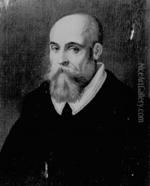 Portrait Of A Bearded Man Wearing A Black Jacket With A White Collar Oil Painting - Lavinia Fontana