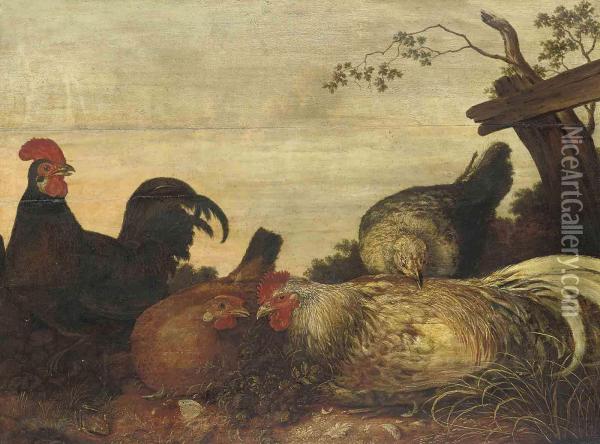 A Cockerel And Hens In A Landscape Oil Painting - Gillis Claesz De Hondecoeter