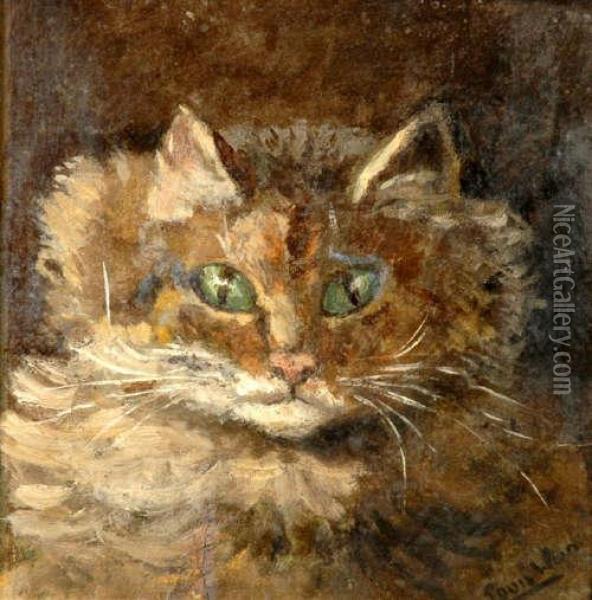 Cat Portrait Head, Signed Oil On Board,16x16cm Oil Painting - Louis William Wain