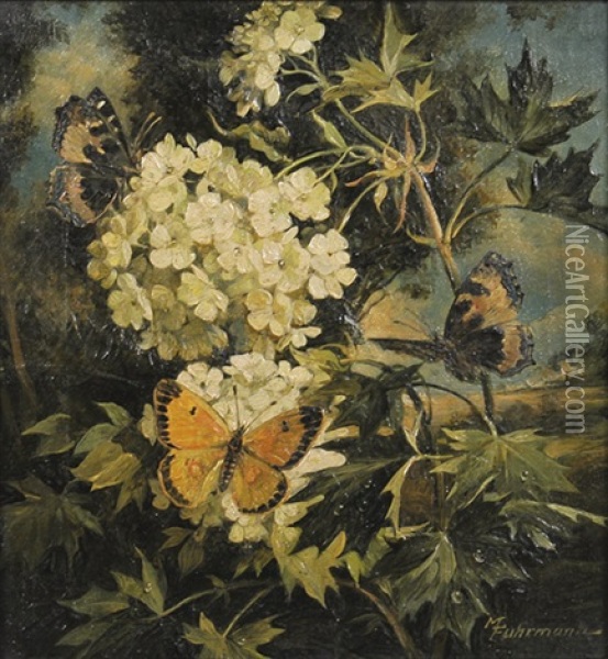 Blumenstilleben Mit Schmetterlingen Oil Painting - Max Fuhrmann