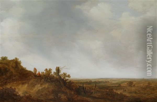 Eine Dunenlandschaft Oil Painting - Pieter De Molijn