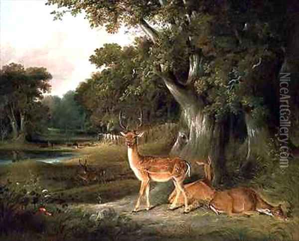 Deer in a wooded landscape Oil Painting - William Daniell RA