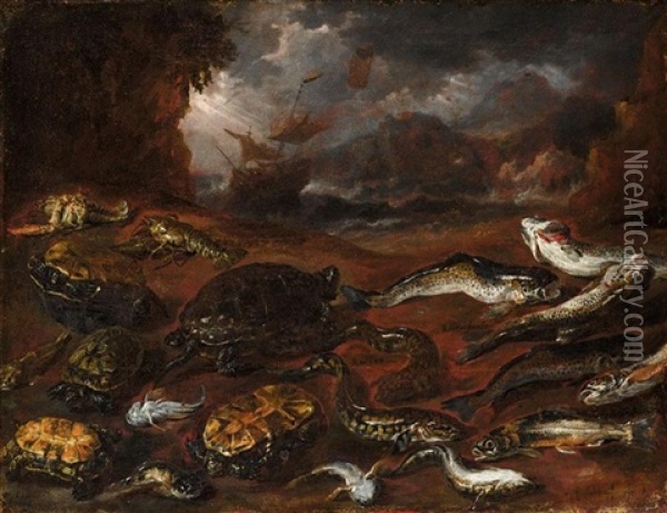 A Still Life Of Fish, Tortoises And Lobster On A Beach, A Stormy Sea Beyond Oil Painting - Pieter Boel