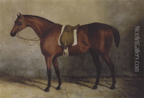Englisches Pferd Oil Painting - Benjamin Marshall