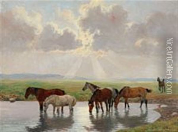 Horses At A Pond Oil Painting - Otto Bache