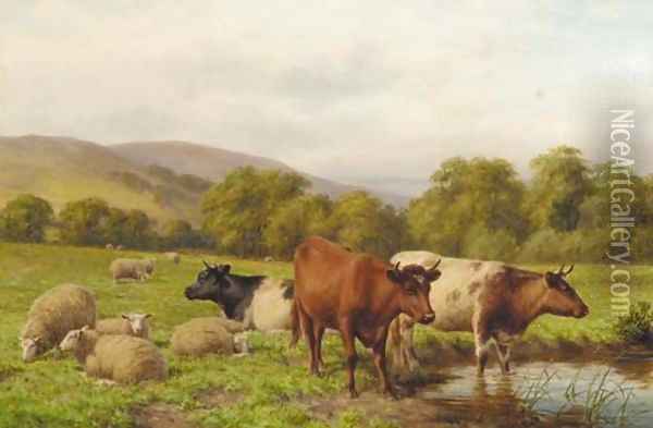 Cattle and sheep resting in a water meadow Oil Painting - Dixon Clark