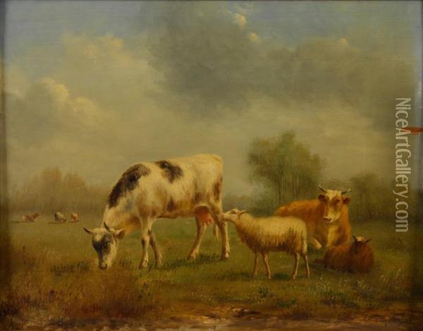 Moutons Et Vaches Au Paturage Oil Painting - Arthur De Waerhert
