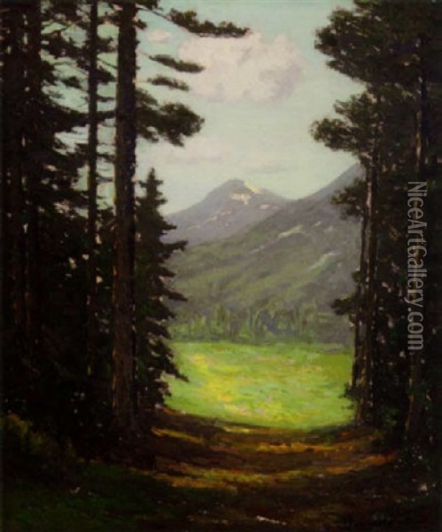 Through The Woods, Glacier Park, Montana Oil Painting - Charles Warren Eaton
