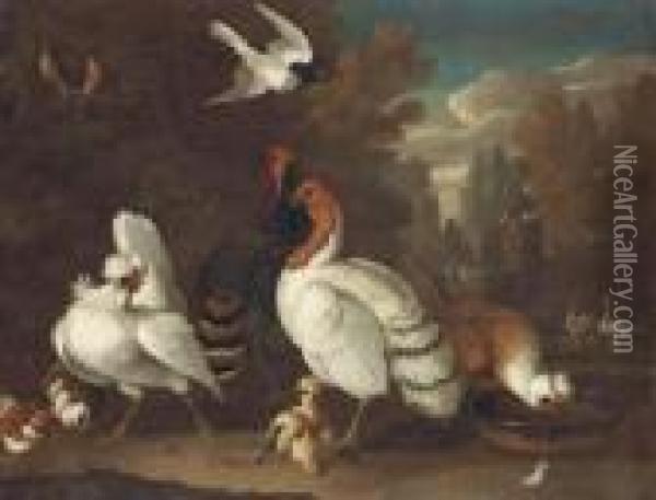 Fowl And Other Birds In A Formal Garden Oil Painting - Melchior de Hondecoeter