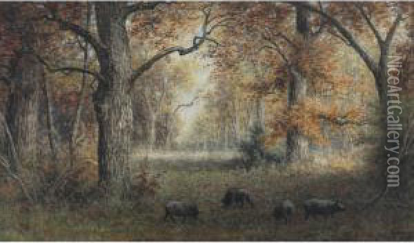 Pigs Grazing In Autumnal Woods Oil Painting - Frederick Arthur Verner