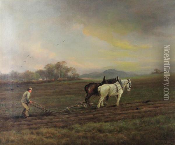 Ploughing Near Dalhousie Oil Painting - Murray Macdonald