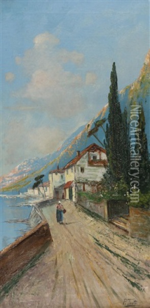 Sudliche Uferstrase Oil Painting - Pietro Toretti