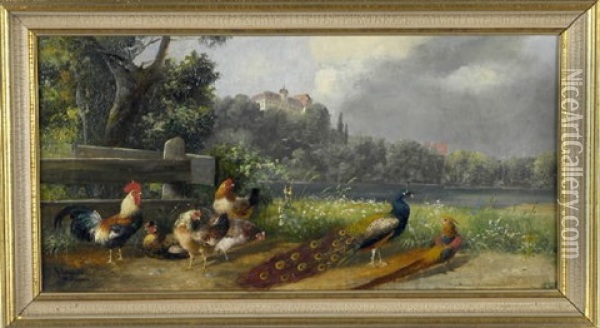 Federvieh Und Pfauenpaar Am See Mit Blick Auf Ein Schloss Oil Painting - Alfred Schoenian