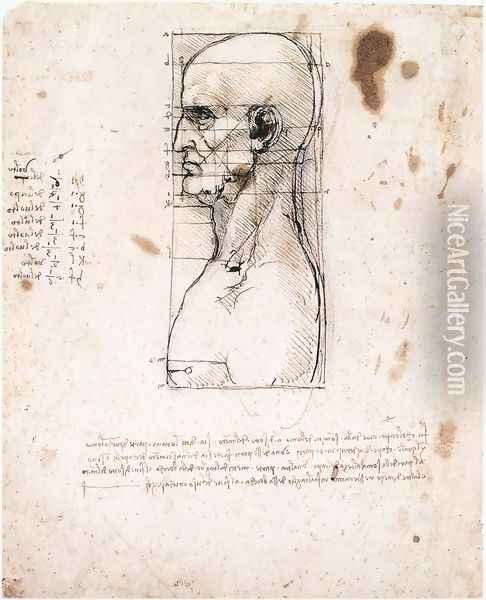Male head in profile with proportions Oil Painting - Leonardo Da Vinci
