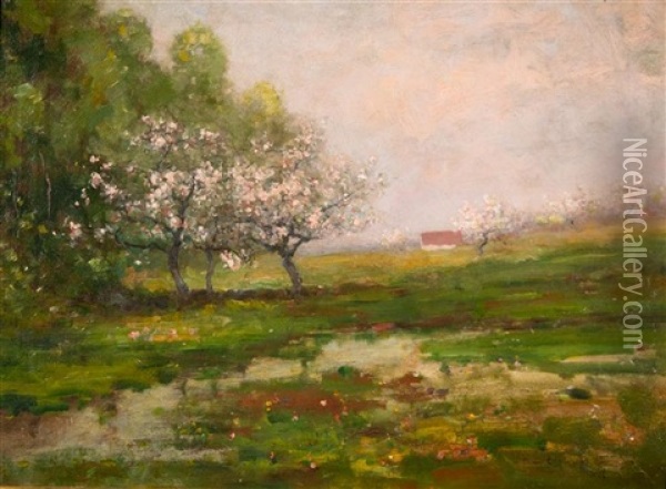 Apple Blossom Trees Oil Painting - Max Weyl
