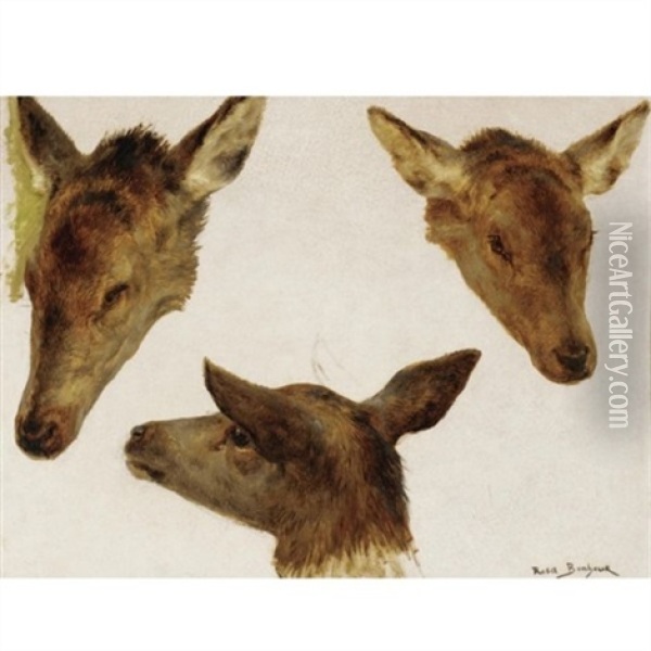 Deer Heads (studies) Oil Painting - Rosa Bonheur