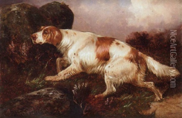 A Setter Working Oil Painting - Colin Graeme