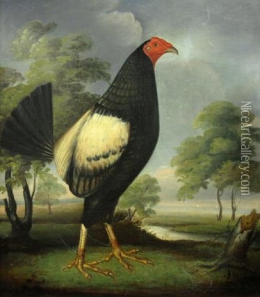 Rooster Facing Right Oil Painting - Hilton Lark Pratt