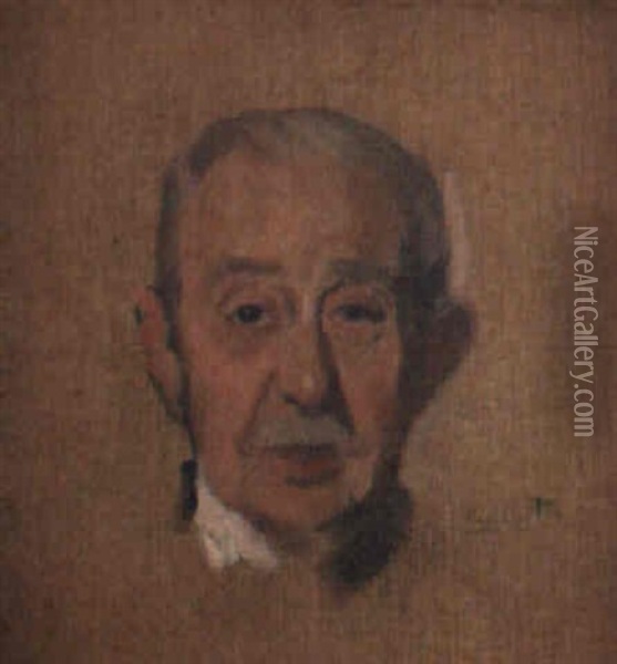 Retrato Del Marques De Feronda Oil Painting - Cecilio Pla