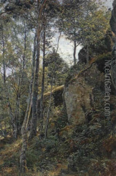 Skogsinterior Oil Painting - Berndt Adolf Lindholm