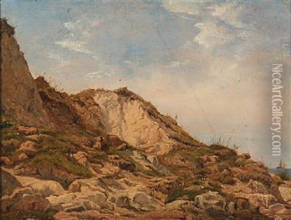 Coastal Scene From Helshoj Oil Painting - Janus la Cour