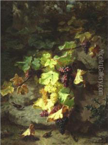 Still Life With Grapevine Oil Painting - Jean-Baptiste Robie