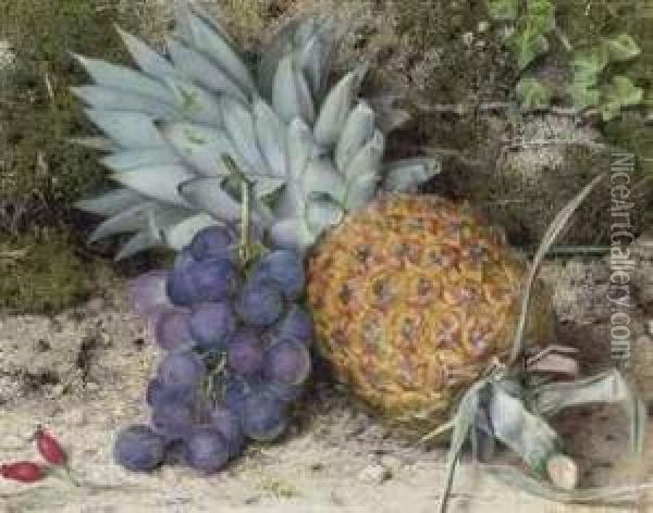 Still Life Of A Pineapple And Grapes On A Mossy Bank Oil Painting - John Sherrin