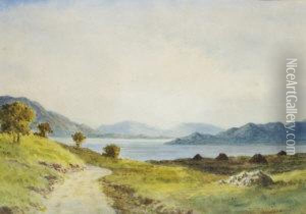 On Lough Corrib, Co. Galway Oil Painting - Douglas Alexander
