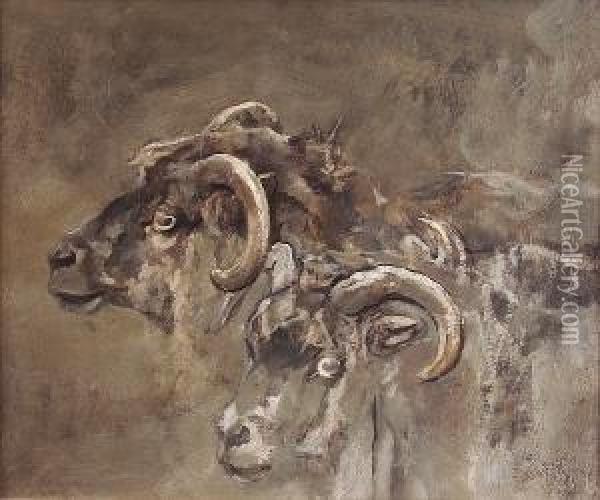 Two Sheeps' Heads Oil Painting - George Pirie
