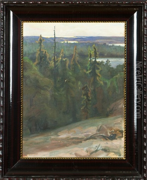 View From The Cliffs Oil Painting - Santeri Salokivi