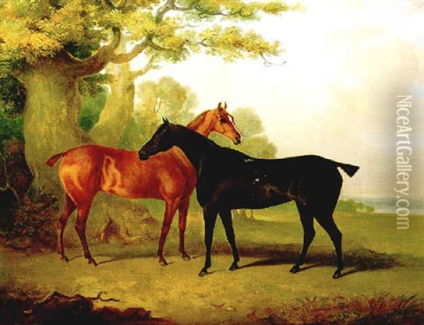 Two Horses In A Pasture Oil Painting - Henry Calvert
