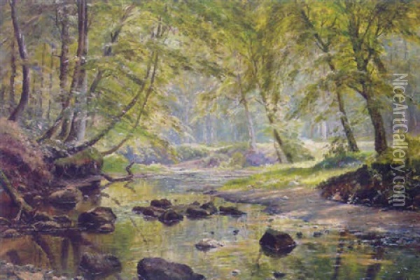 A Sunlit River In A Woodland Glade Oil Painting - Johannes Boesen