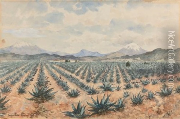 El Iztaccihuatl And El Popocatepetl With Field Of Maguey Oil Painting - August Loehr