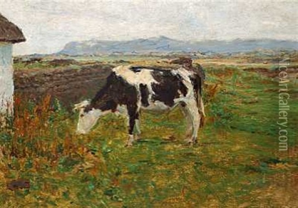 En Graessende Ko Pa Kuperede Marker I Svinklov, Jylland Oil Painting - Viggo Johansen