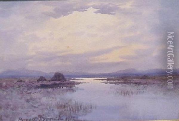 Sunrise On A Bog Oil Painting - William Percy French